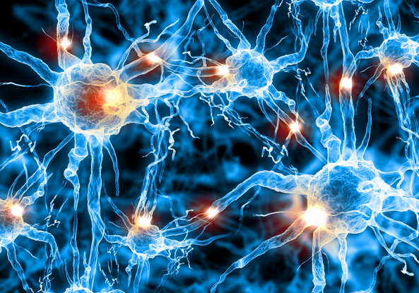 导致老年人癫痫病的症状有哪些